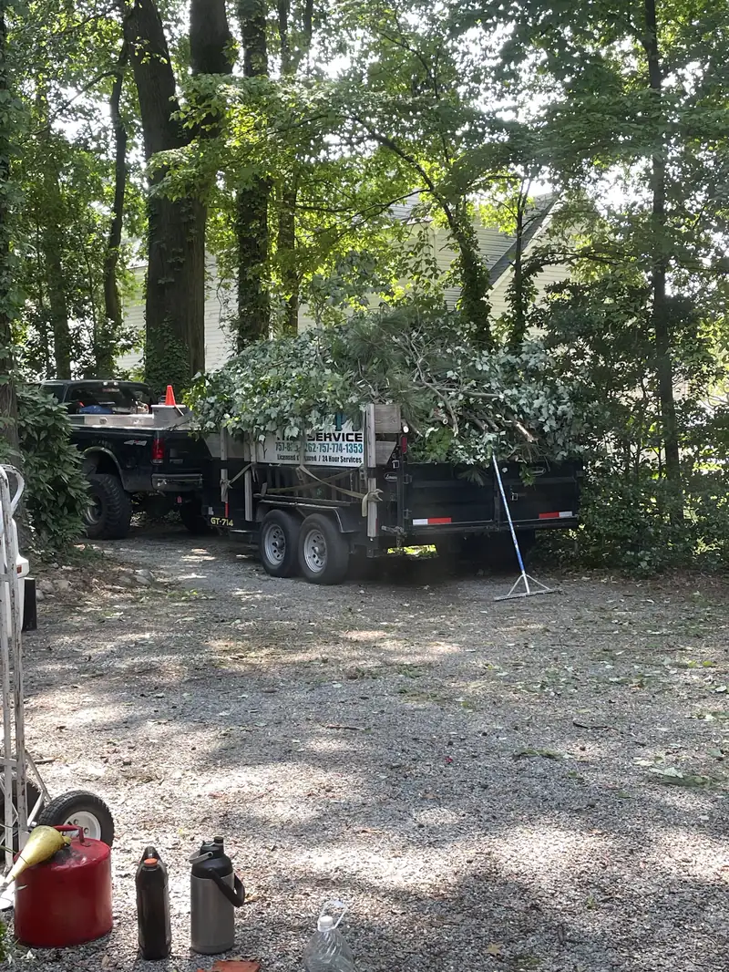 Their truck and dump trailer loaded high with cut limbs on a gravel drive