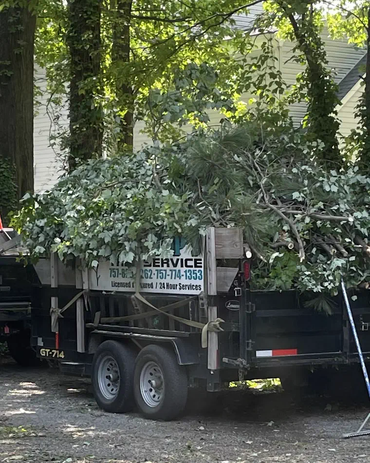 Their dump trailer loaded high with cut limbs, their sign board on its side